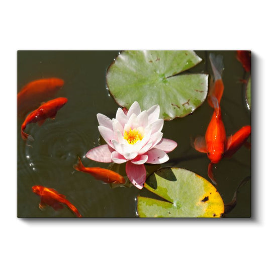 Pembe Gül - Doğal Güzelliğiyle Zarif Çiçek Kanvas Tablo