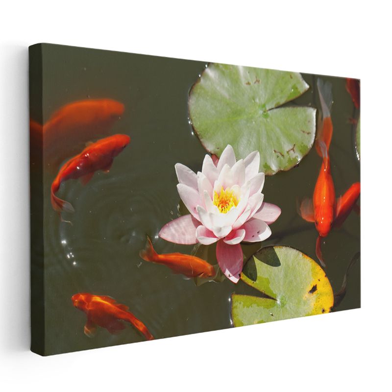 Pembe Gül - Doğal Güzelliğiyle Zarif Çiçek Kanvas Tablo