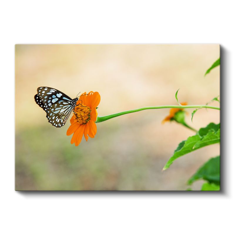 Pembe Nilüfer - Koi Balıkları ile Zen Bahçesi Kanvas Tablo