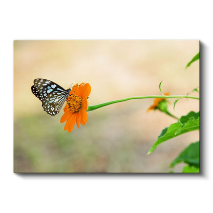 Pembe Nilüfer - Koi Balıkları ile Zen Bahçesi Kanvas Tablo