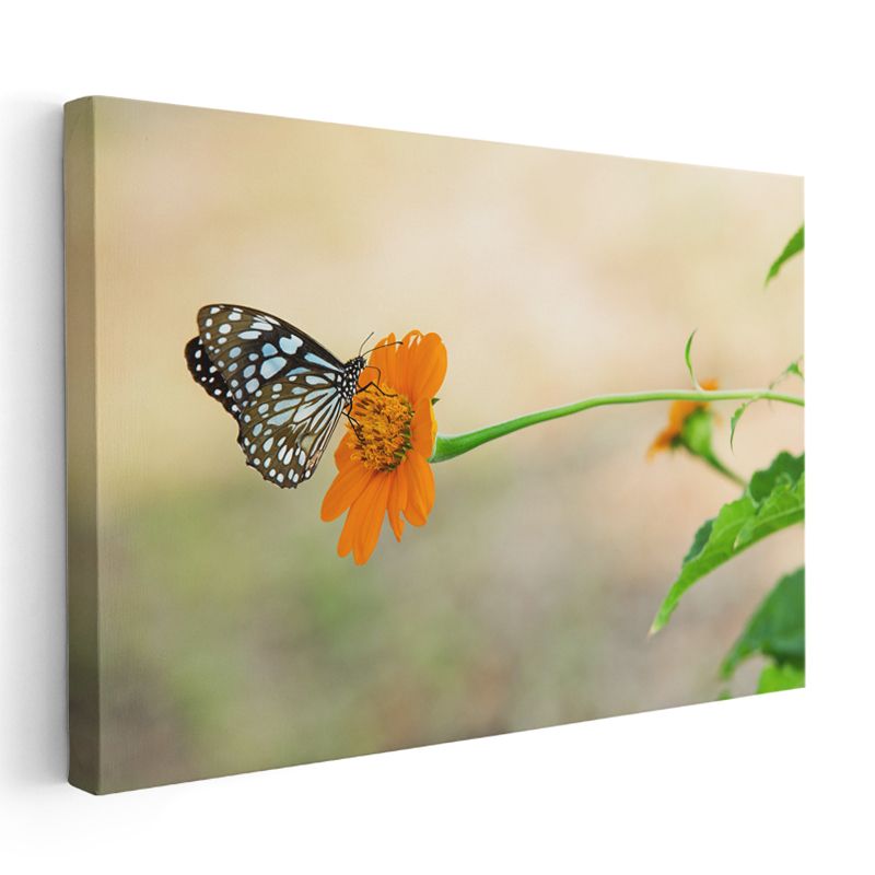 Pembe Nilüfer - Koi Balıkları ile Zen Bahçesi Kanvas Tablo