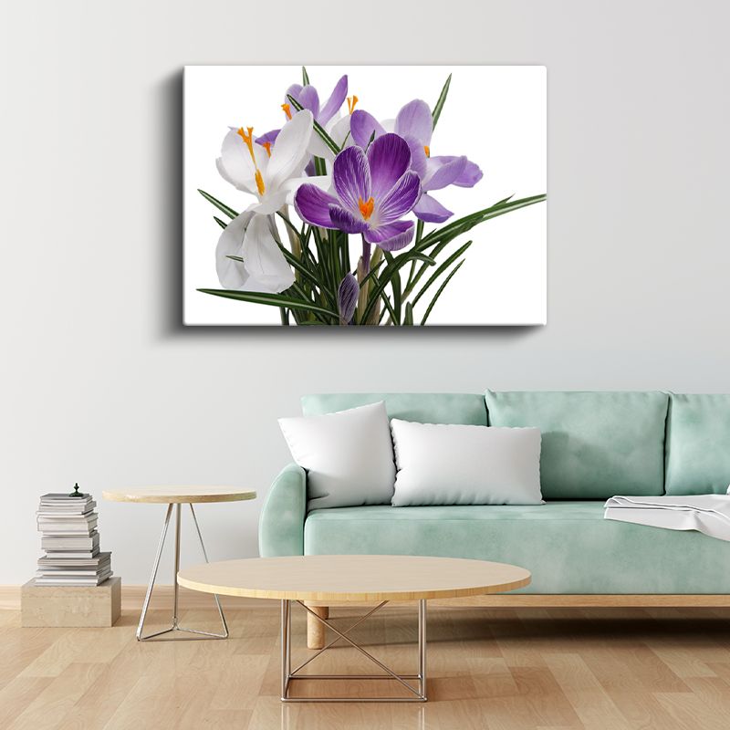 Mor Krokus - Beyaz Çiçeklerle Zarif Kontrast Kanvas Tablo