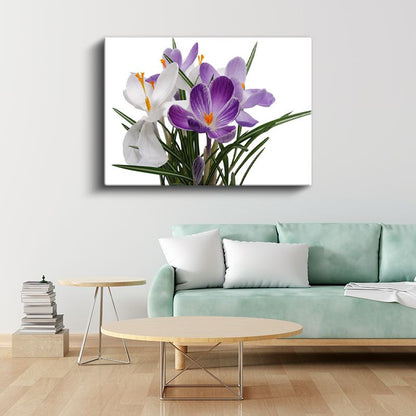 Mor Krokus - Beyaz Çiçeklerle Zarif Kontrast Kanvas Tablo