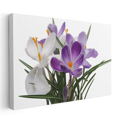 Mor Krokus - Beyaz Çiçeklerle Zarif Kontrast Kanvas Tablo