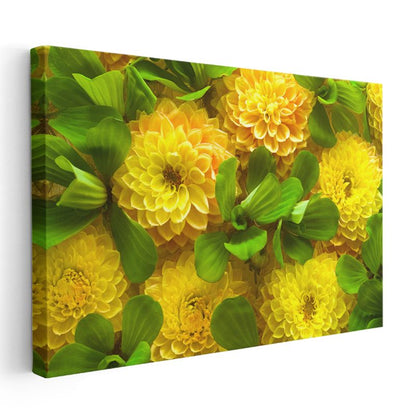 Sarı Yıldız Çiçekleri - Yeşil Yapraklarla Canlı Kompozisyon Kanvas Tablo