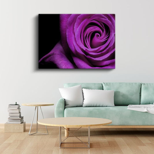 Mor Gül - Dramatik Siyah Fonda Spiral Detay Kanvas Tablo