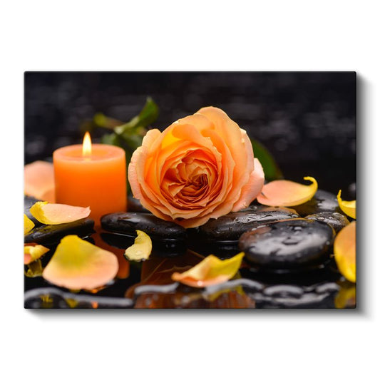 Turuncu Gül - Siyah Taşlar Üzerinde Spa Konsepti Kanvas Tablo
