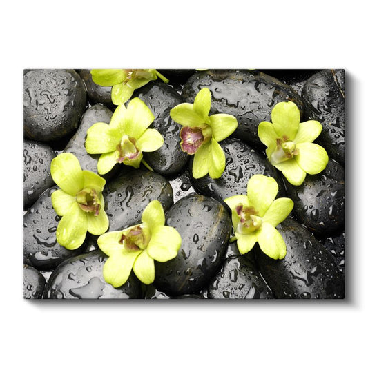 Yeşil Orkideler - Siyah Taşlar Üzerinde Zen Tasarımı Kanvas Tablo