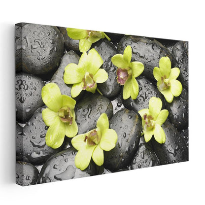 Yeşil Orkideler - Siyah Taşlar Üzerinde Zen Tasarımı Kanvas Tablo