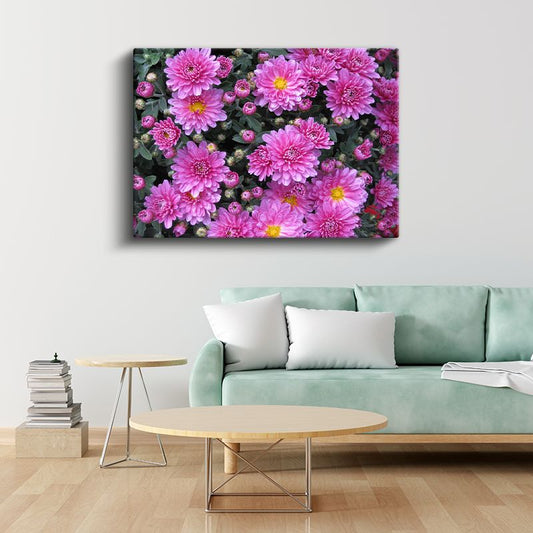 Pembe Kasımpatı - Çiçek Bahçesi Detayı Kanvas Tablo