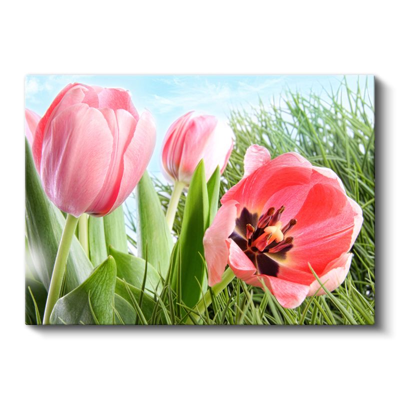 Pembe Laleler - Bahar Çayırında Taze Çiçekler Kanvas Tablo