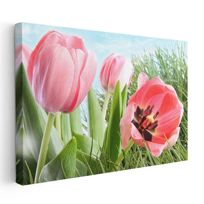 Pembe Laleler - Bahar Çayırında Taze Çiçekler Kanvas Tablo