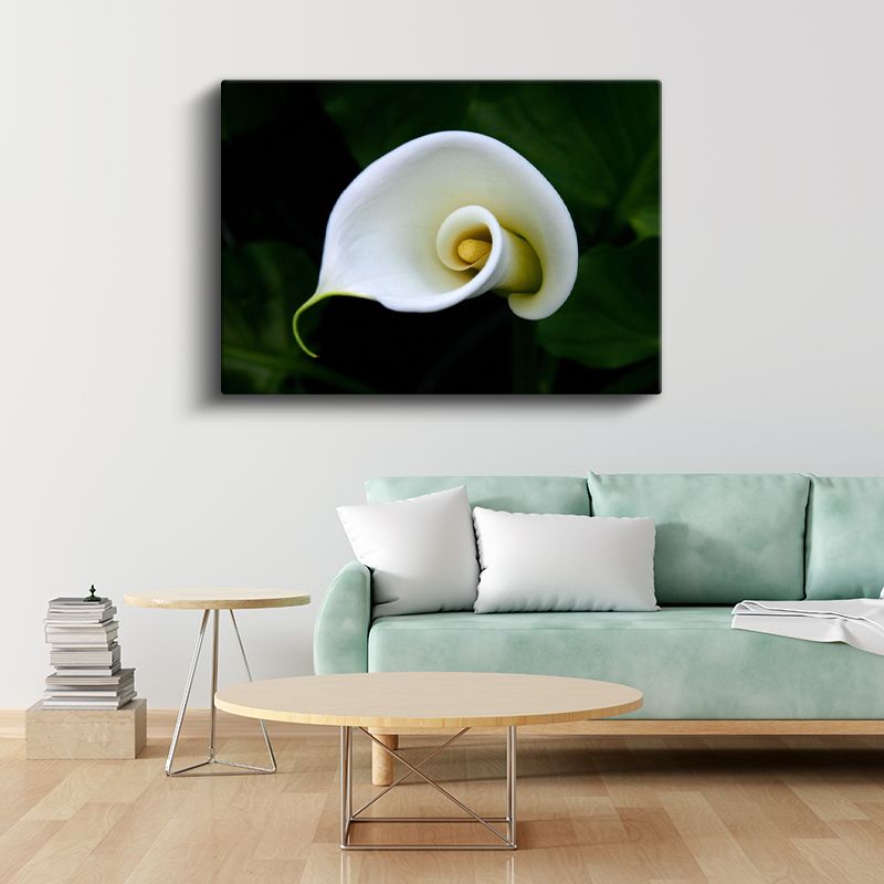 Beyaz Kalla - Minimalist Spiral Form Kanvas Tablo