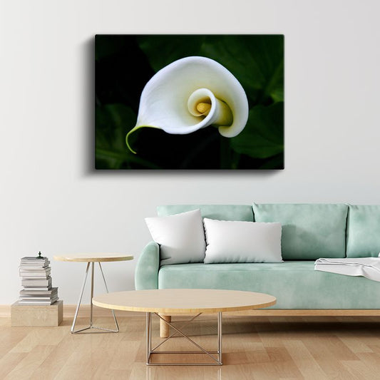 Beyaz Kalla - Minimalist Spiral Form Kanvas Tablo