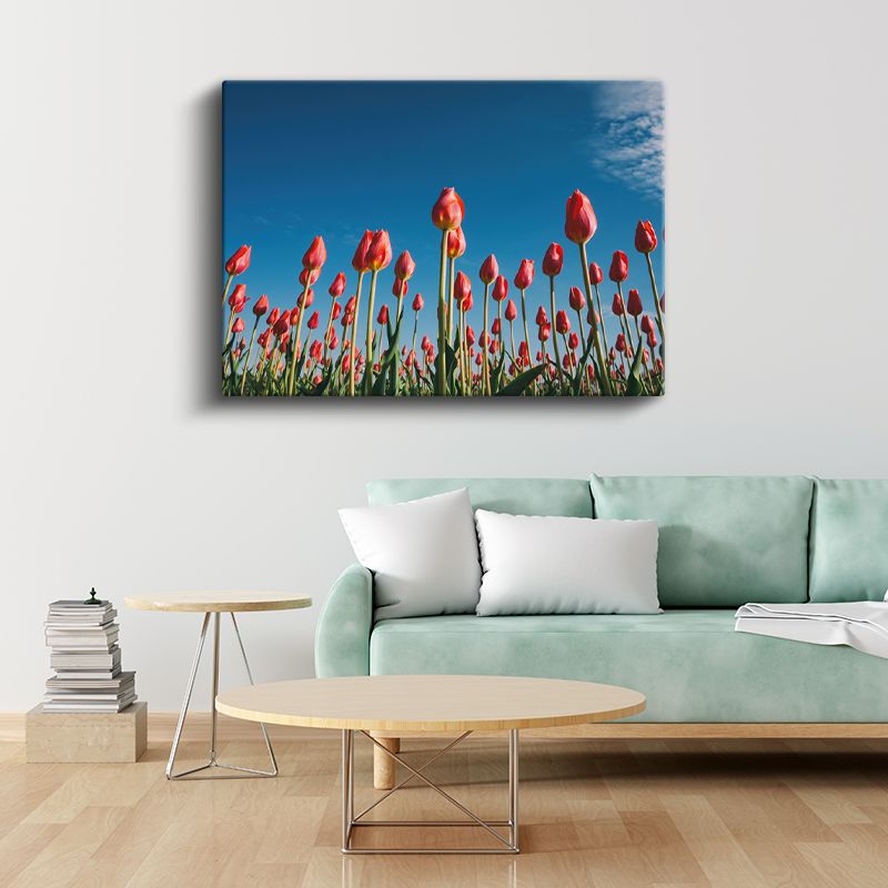 Beyaz Orkideler - Siyah Taşlar Üzerinde Spa Konsepti Kanvas Tablo