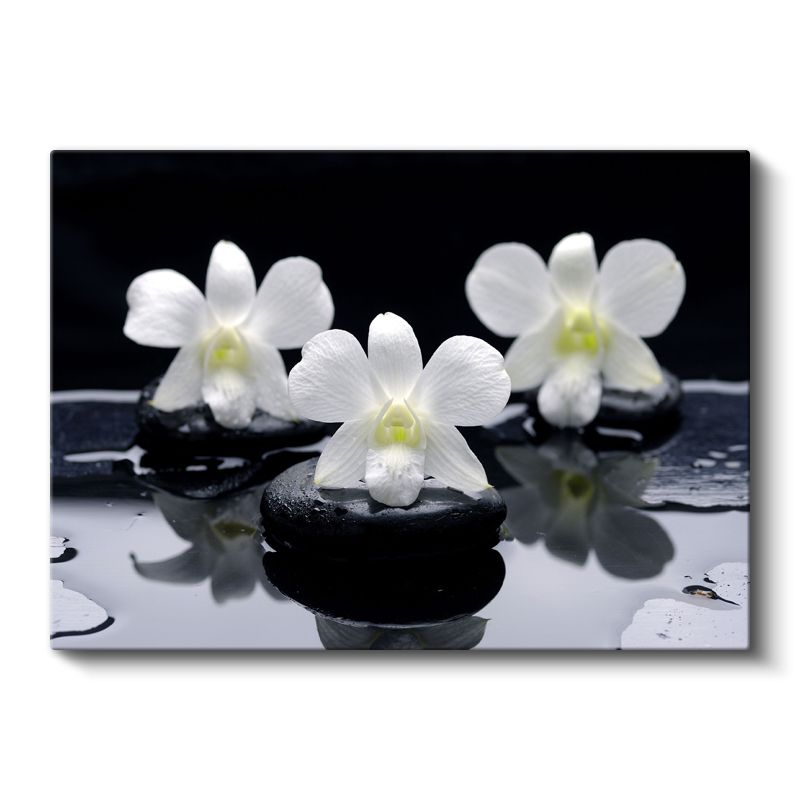 Plumeria Çiçeği - Spa Konseptli Aromaterapi Kanvas Tablo