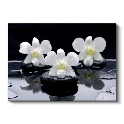 Plumeria Çiçeği - Spa Konseptli Aromaterapi Kanvas Tablo