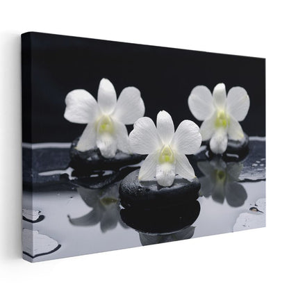 Plumeria Çiçeği - Spa Konseptli Aromaterapi Kanvas Tablo