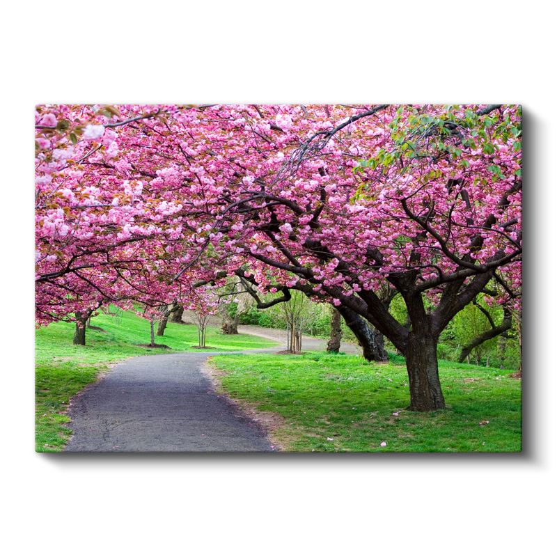 Kiraz Çiçeği Ağaçları - Bahar Parkı Manzarası Kanvas Tablo