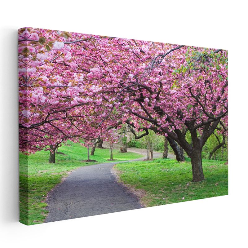 Kiraz Çiçeği Ağaçları - Bahar Parkı Manzarası Kanvas Tablo