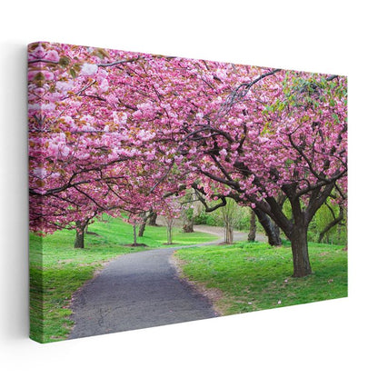 Kiraz Çiçeği Ağaçları - Bahar Parkı Manzarası Kanvas Tablo