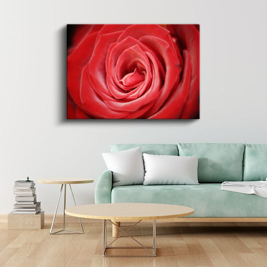 Kırmızı Gül - Makro Çekim Çiçek Portresi Kanvas Tablo