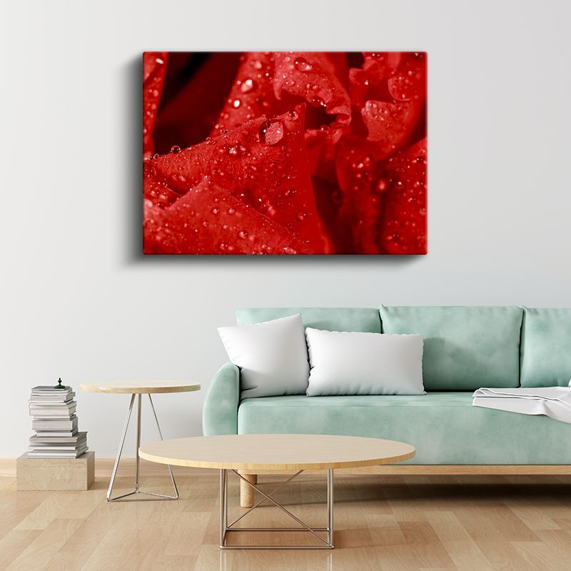 Kırmızı Gül - Çiy Damlacıklı Detay Kanvas Tablo