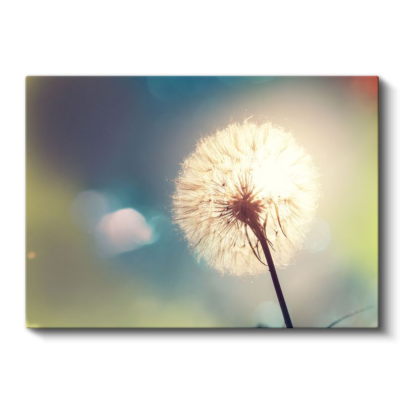 Karahindiba - Gün Batımında Silüet Kanvas Tablo