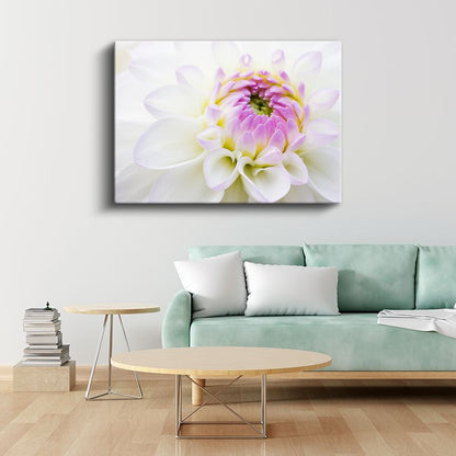 Beyaz Yıldız Çiçeği - Pembe Merkezli Zarif Detay Kanvas Tablo
