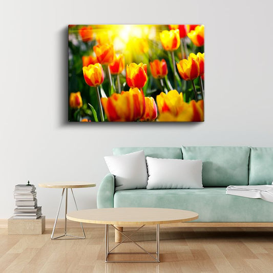 Turuncu Laleler - Güneş Işığında Parlayan Çiçekler Kanvas Tablo