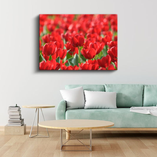 Kırmızı Laleler - Canlı Renkli Çiçek Tarlası Kanvas Tablo