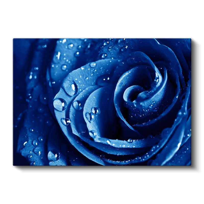Mavi Gül - Su Damlacıklı Nadir Çiçek Kanvas Tablo