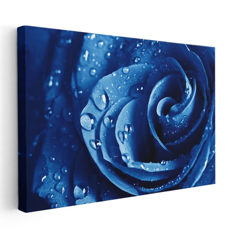 Mavi Gül - Su Damlacıklı Nadir Çiçek Kanvas Tablo