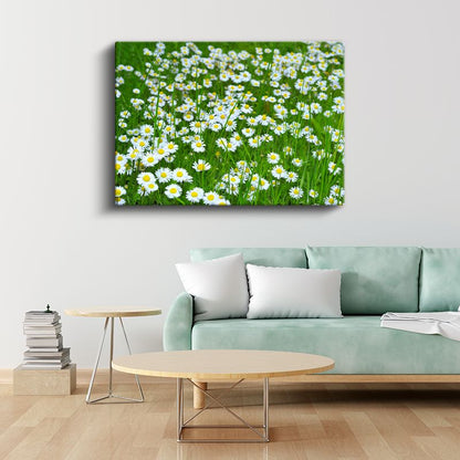 Papatyalar - Yeşil Çayırda Beyaz Çiçekler Kanvas Tablo
