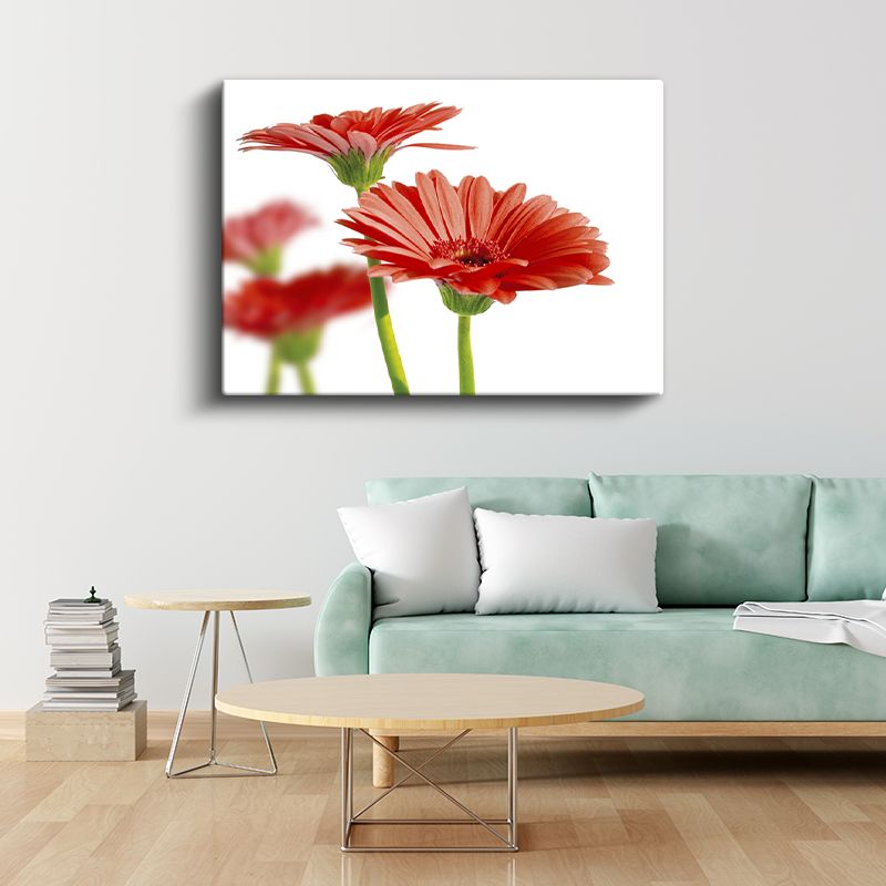 Kırmızı Gerbera - Beyaz Fonda Minimalist Tasarım Kanvas Tablo