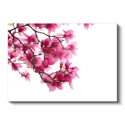 Manolya Dalı - Beyaz Fonda Pembe Çiçekler Kanvas Tablo