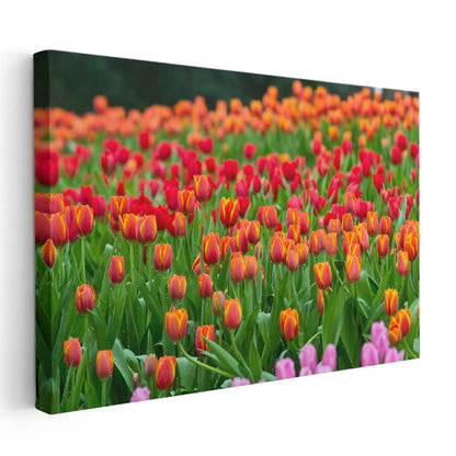 Renkli Laleler - Bahar Bahçesi Manzarası Kanvas Tablo