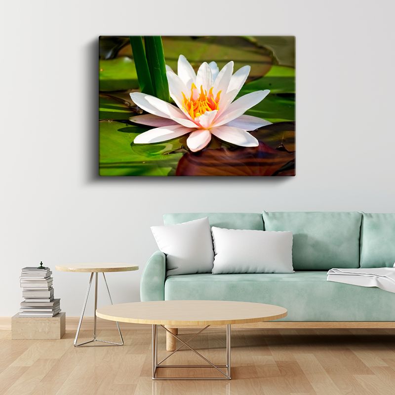 Beyaz Nilüfer - Yapraklar Arasında Zarif Çiçek Kanvas Tablo