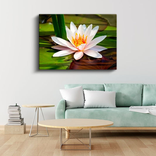 Beyaz Nilüfer - Yapraklar Arasında Zarif Çiçek Kanvas Tablo