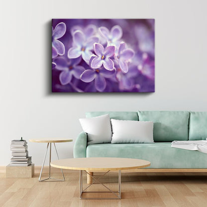 Leylak Çiçeği - Makro Çekim Detay Kanvas Tablo