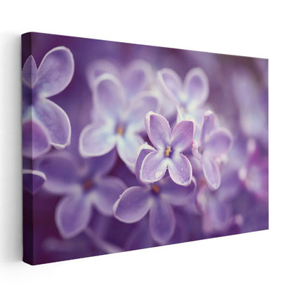 Leylak Çiçeği - Makro Çekim Detay Kanvas Tablo