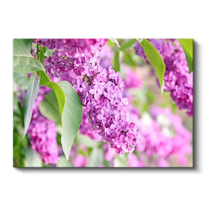 Mor Leylak - Yeşil Yapraklı Bahar Dalı Kanvas Tablo