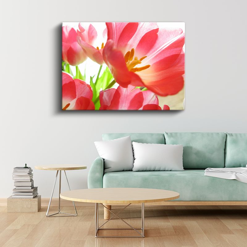Pembe Lale - Işık Geçiren Narin Çiçekler Kanvas Tablo