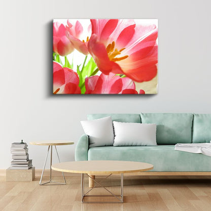 Pembe Lale - Işık Geçiren Narin Çiçekler Kanvas Tablo