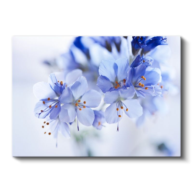 Açık Mavi Çiçekler - Zarif Detaylı Bahar Çiçekleri Kanvas Tablo