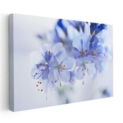 Açık Mavi Çiçekler - Zarif Detaylı Bahar Çiçekleri Kanvas Tablo