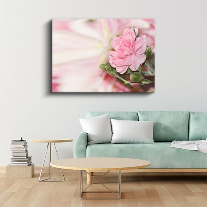 Pembe Karanfil - Yumuşak Tonlarda Çiçek Portresi Kanvas Tablo