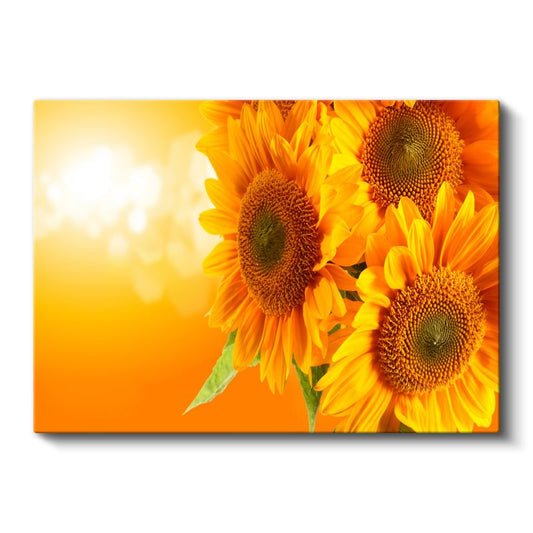 Ayçiçeği - Altın Sarısı Güneş Çiçekleri Kanvas Tablo