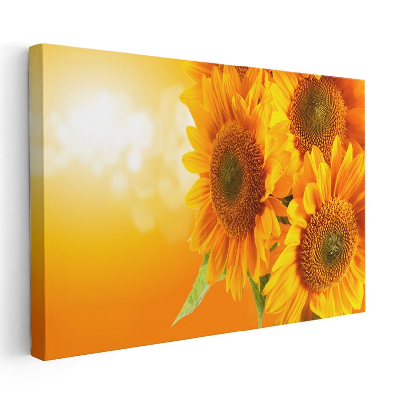 Ayçiçeği - Altın Sarısı Güneş Çiçekleri Kanvas Tablo