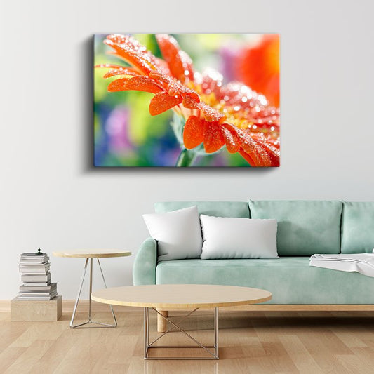Turuncu Gerbera - Çiy Damlacıklı Çiçek Detayı Kanvas Tablo